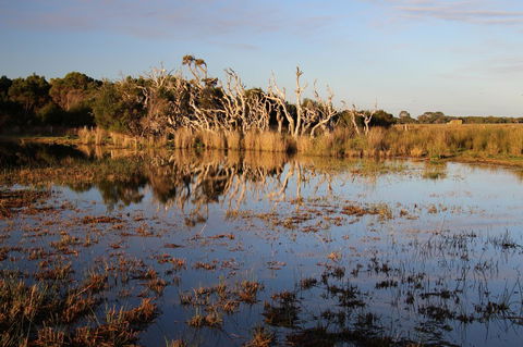 Sapphire Chalets, Augusta - Geraldton Accommodation 13