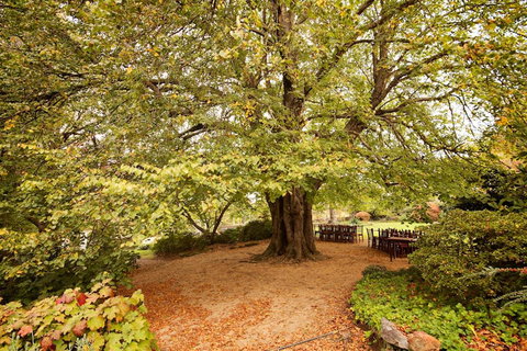 Nesuto Leura Gardens (formerly Waldorf Leura Gardens Resort) - Geraldton Accommodation 1