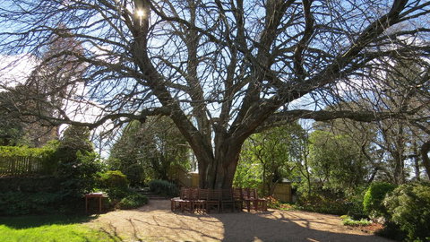 Nesuto Leura Gardens (formerly Waldorf Leura Gardens Resort) - Geraldton Accommodation 3