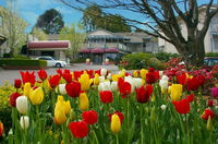 Book Leura Accommodation Vacations Geraldton Accommodation Geraldton Accommodation