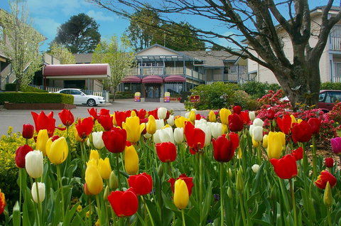Nesuto Leura Gardens (formerly Waldorf Leura Gardens Resort) - Geraldton Accommodation 0