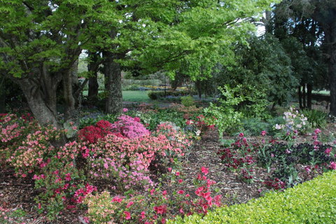 Nesuto Leura Gardens (formerly Waldorf Leura Gardens Resort) - Geraldton Accommodation 2