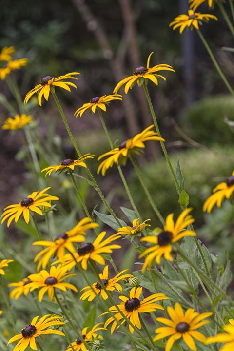 Nesuto Leura Gardens (formerly Waldorf Leura Gardens Resort) - Geraldton Accommodation 15