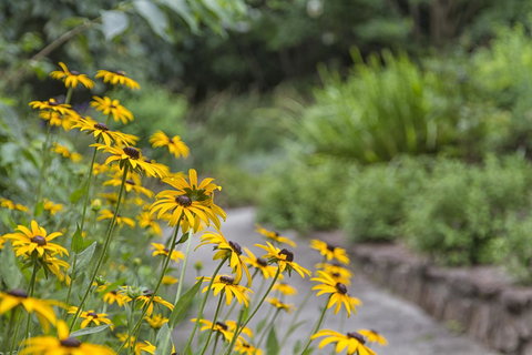 Nesuto Leura Gardens (formerly Waldorf Leura Gardens Resort) - Geraldton Accommodation 16