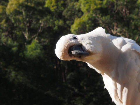 Bundle Hill Cottages - Geraldton Accommodation 1