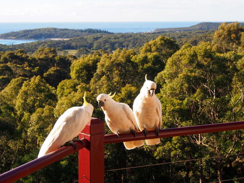 Bundle Hill Cottages - Geraldton Accommodation 2