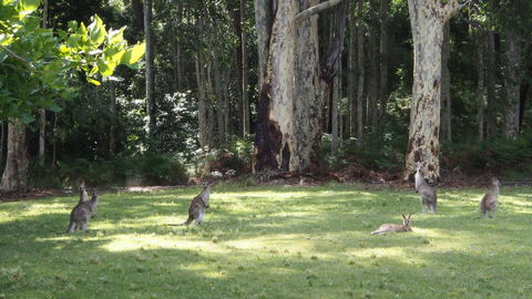 Bundle Hill Cottages - Geraldton Accommodation 15