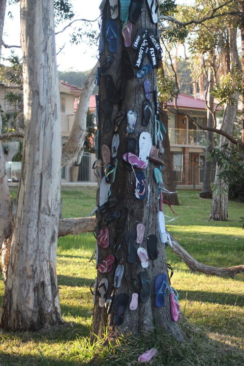 Ambience - Geraldton Accommodation 33