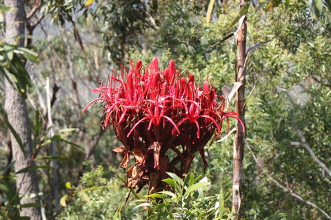 Ambience - Geraldton Accommodation 30