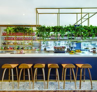 Vibe Hotel Sydney - Geraldton Accommodation