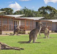 Discovery Parks  Pambula Beach - Geraldton Accommodation