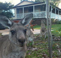 Bush  Bay Cottage - Geraldton Accommodation