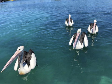Aquarius 9 - Geraldton Accommodation 4