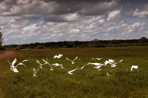 Wildman Wilderness Lodge - Geraldton Accommodation 20