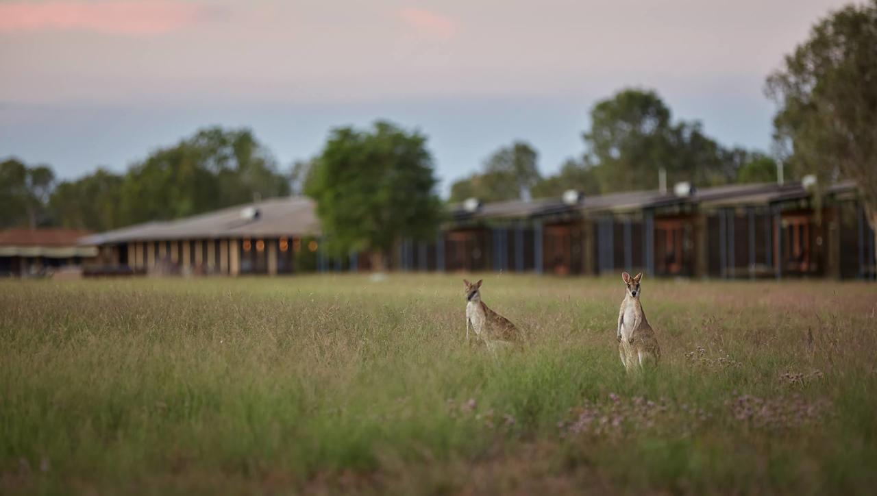 Lake Bennett NT Geraldton Accommodation