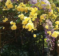 Bowral Road Bed and Breakfast - Geraldton Accommodation