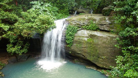 Buderim Forest Hideaway - Geraldton Accommodation 0