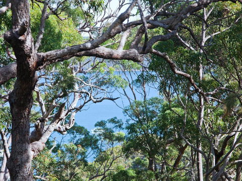 Bynya - 100m To Jonahs! - Geraldton Accommodation 1