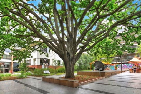 Canberra Luxury Apartment 8 - Geraldton Accommodation 1