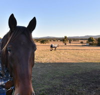 Clydesdale Cottage on Talga with real Clydesdale Horses - Geraldton Accommodation