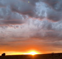 creative 3D sculpture share - Geraldton Accommodation