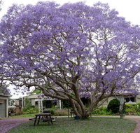 Ecotel Narooma - Geraldton Accommodation