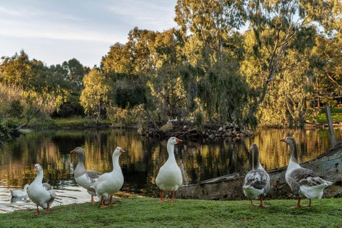 Empire Spa Retreat - Geraldton Accommodation 2