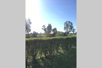 Book Benalla Accommodation Vacations Geraldton Accommodation Geraldton Accommodation
