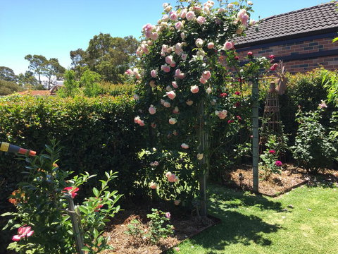 Garden Apartment - Geraldton Accommodation 3