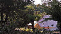 Book Zeehan Accommodation Vacations Geraldton Accommodation Geraldton Accommodation