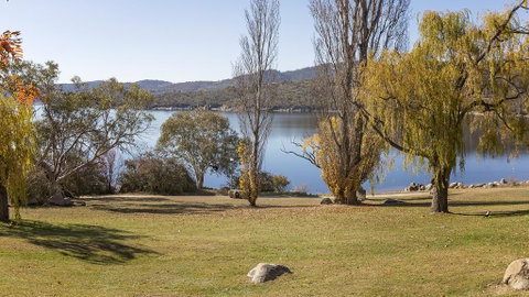 Grey Kangaroo- On Lake Jindabyne Foreshore - Geraldton Accommodation 1