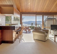 Grey Kangaroo- On Lake Jindabyne foreshore - Geraldton Accommodation
