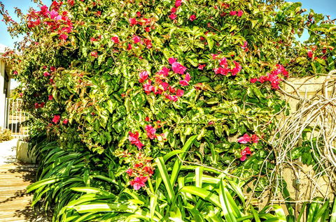 Halls Head Holiday Home - Geraldton Accommodation 3