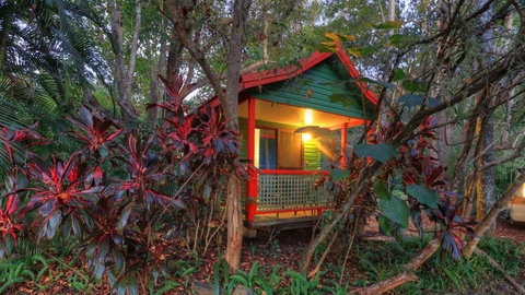 Lake Eacham Tourist Park & Cabins - Geraldton Accommodation 3