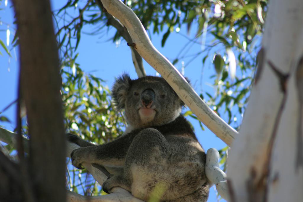 Vale Park SA Geraldton Accommodation