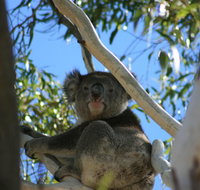Levi Park Caravan Park - Geraldton Accommodation