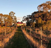 Lillicur Vineyard BB - Geraldton Accommodation