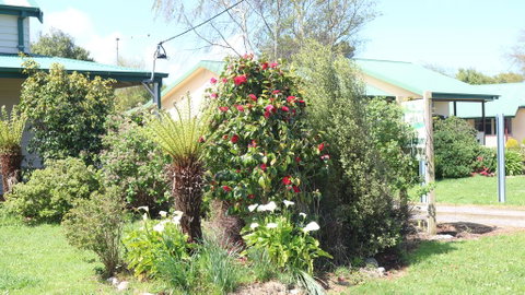 Meredith House & Apartments Strahan - Geraldton Accommodation 1
