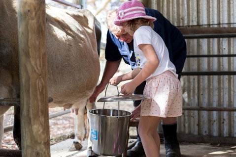 Misty Valley Country Cottages - Geraldton Accommodation 1
