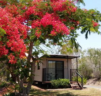 Mt Larcom Tourist Park