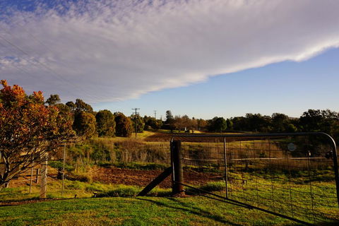 Muswellbrook Northside B&B - Geraldton Accommodation 3