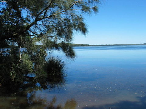 Myall River Magic - Geraldton Accommodation 1
