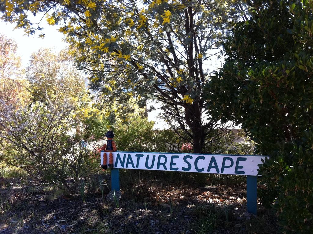 Kosciuszko NSW Geraldton Accommodation