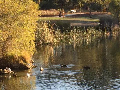 Lakeside Views - Geraldton Accommodation 15