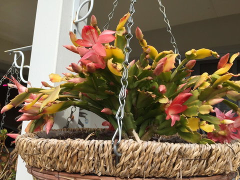 Lakeside Views - Geraldton Accommodation 13
