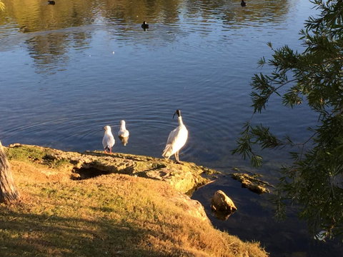 Lakeside Views - Geraldton Accommodation 19