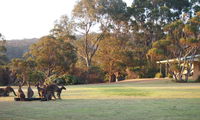 Book Walpole Accommodation Vacations Geraldton Accommodation Geraldton Accommodation