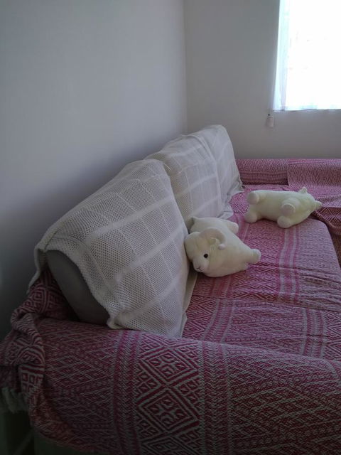 DIANELLA Budget Rooms Happy Place To Stay - Geraldton Accommodation 29
