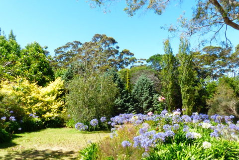 Innisfree Mountain Retreat - Geraldton Accommodation 1