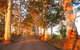 Innisfree Mountain Retreat - thumb 10